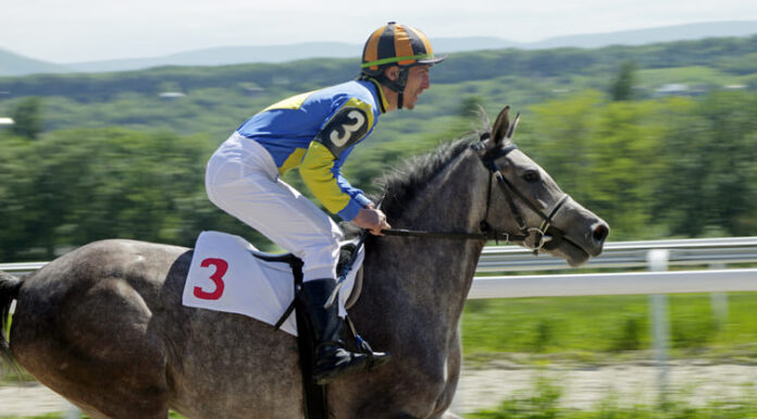 Equestic Launches Coach Copilot for over 335 Million Riders Worldwide Horse racing in Russia