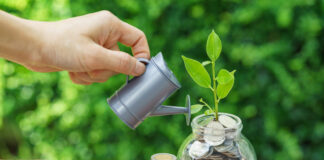 The Hidden Levers of Wealth Creation: Strategies for Financial Success Search by image or video Stack of coins and growth sprout plant with hand watering as business finance or grow investment