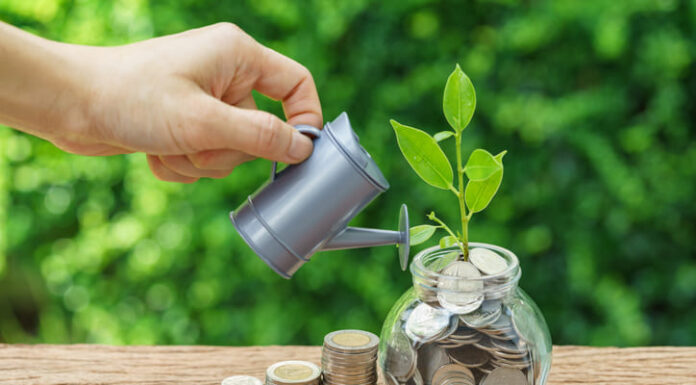 The Hidden Levers of Wealth Creation: Strategies for Financial Success Search by image or video Stack of coins and growth sprout plant with hand watering as business finance or grow investment