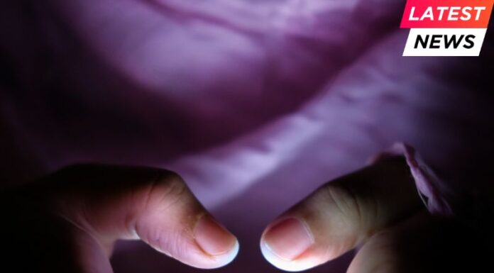 The Future of X: From Social Media Hub to Authoritarian Amplifier? social media amplifier