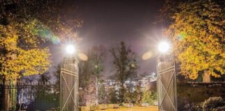 Enhancing Corporate Security with High-Quality Gate Systems castle gate