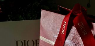 Are Dior Saddle Bags Worth the Investment? Dior
