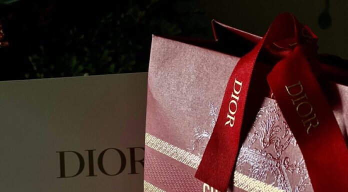 Are Dior Saddle Bags Worth the Investment? Dior