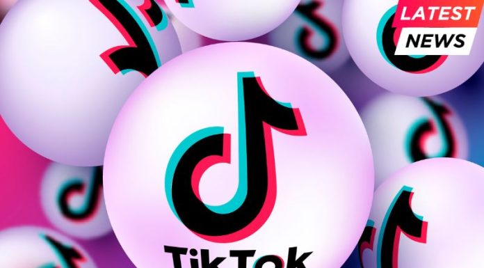 Trump Open to Elon Musk Buying TikTok Amid National Security Concerns