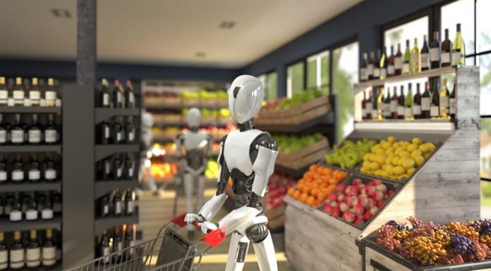 Are Shoppers Ready to Give Up their Autonomy to AI?Â