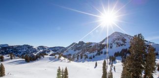 Skiing into Success: Launching a New Ski Resort in the Heart of Utah Alpine skiing at Alta Resort, Utah