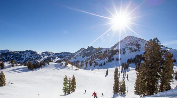 Skiing into Success: Launching a New Ski Resort in the Heart of Utah Alpine skiing at Alta Resort, Utah