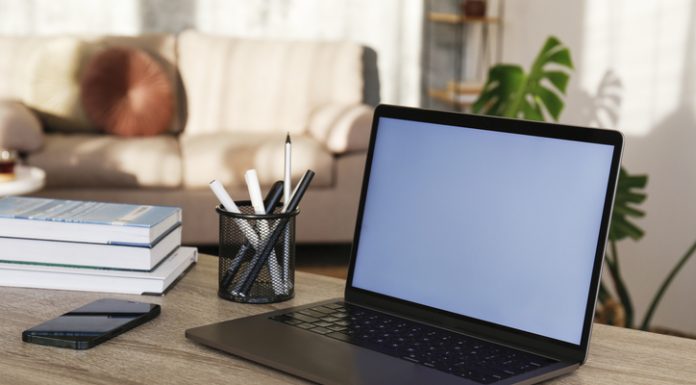 Essential Business Resources and Guidance for Success Blank screen laptop, cell phone and a cup on wooden table. Cozy lofty office with house plants full of natural sunlight - Business