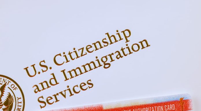 Delays in Naturalization: Understanding Causes and Legal Remedies Against USCIS USCIS