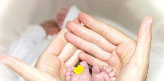 Why Parents Trust Holle Formula: A Legacy of Quality and Sustainability Person holding babys toe with yellow petaled flower