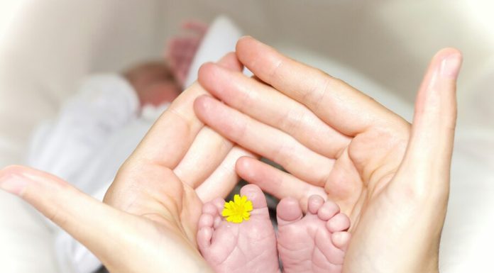 Why Parents Trust Holle Formula: A Legacy of Quality and Sustainability Person holding babys toe with yellow petaled flower