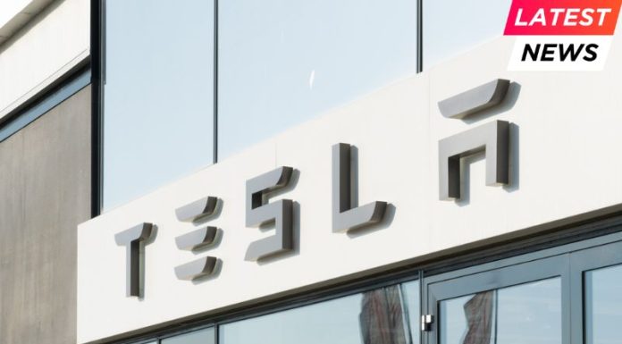 Musk’s Ties to Trump Could Ease Federal Pressure on Tesla Musk's Ties to Trump Could Ease Federal Pressure on Tesla