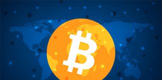 Bitcoin ETFs and Memecoins Craze Acted as Wealth Generating Catalysts in 2024 Bitcoin symbol on world map background