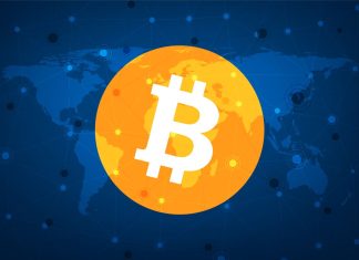 Bitcoin ETFs and Memecoins Craze Acted as Wealth Generating Catalysts in 2024 Bitcoin symbol on world map background