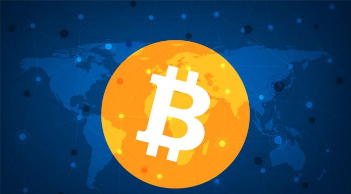 Bitcoin ETFs and Memecoins Craze Acted as Wealth Generating Catalysts in 2024 Bitcoin symbol on world map background