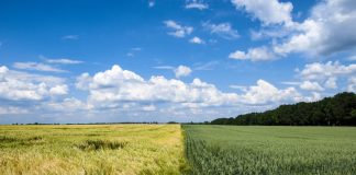 First Large-Scale Agricultural Soil Carbon Project Earns Verra Registration, Strengthening Market Integrity Agreena Becomes First Verra-Registered Agricultural Soil Carbon Project