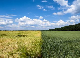 Agreena Becomes First Verra-Registered Agricultural Soil Carbon Project
