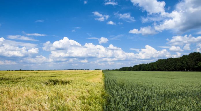 First Large-Scale Agricultural Soil Carbon Project Earns Verra Registration, Strengthening Market Integrity Agreena Becomes First Verra-Registered Agricultural Soil Carbon Project