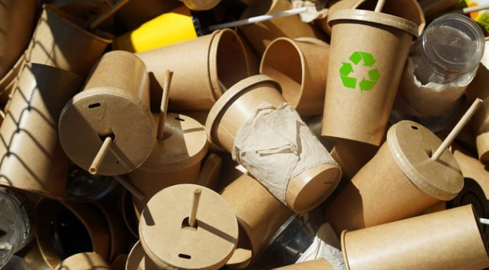 Transforming Paper Cup Recycling for a Sustainable Future Recycle symbol on disposable brown paper cups and plastic glasses used from coffee cafe, restaurants, takeaways.