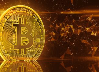 European Crypto Ownership Rates: Then vs. Now Crypto