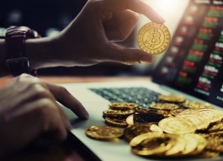 Crypto for Beginners: Golden Nuggets Every New Trader Should Know Person holding gold bitcoin for trading
