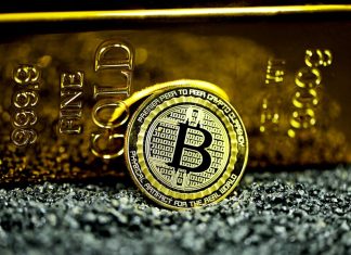 Bitcoin propped up against gold bullion on black stones.