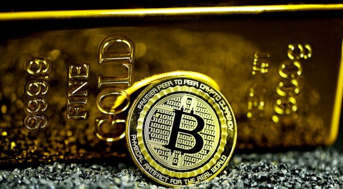 Bitcoin propped up against gold bullion on black stones.