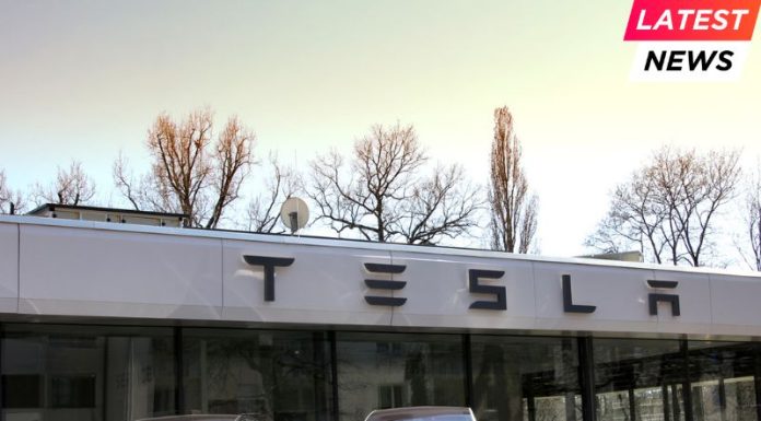 sales of tesla in EUR