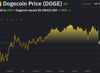 Institutional Investors Skeptical About the Potential TRUMP and DOGE ETF’s Dogecoin Price