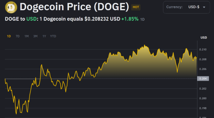 Institutional Investors Skeptical About the Potential TRUMP and DOGE ETF’s Dogecoin Price