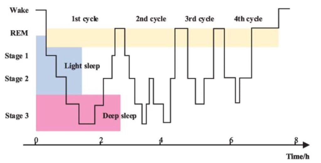 Sleep on Workplace: Impact on Productivity Explained - The European ...
