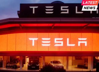 Tesla Faces Backlash as CEO Musk’s Actions Spark Protests Tesla Faces Backlash as CEO