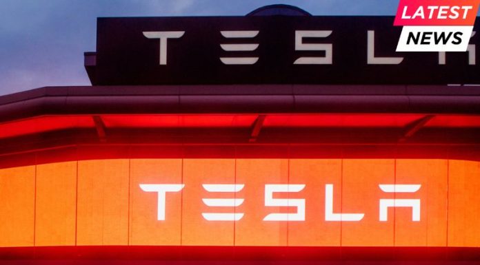 Tesla Faces Backlash as CEO