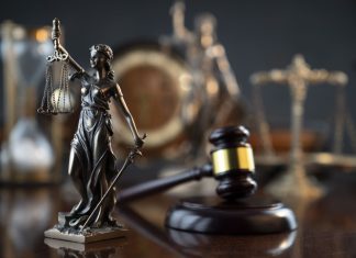 Proving Liability in Dog Bite Cases Proving Liability in Dog Bite Cases