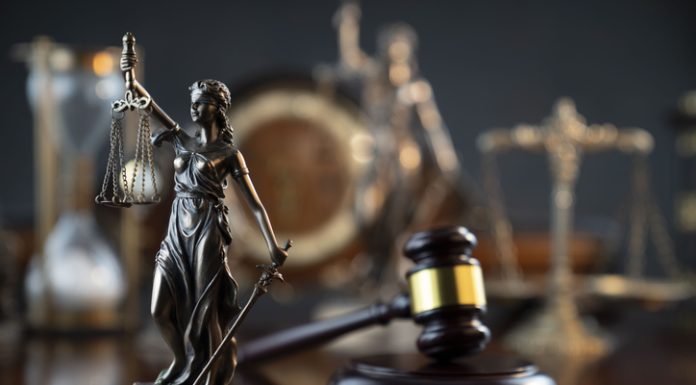 Proving Liability in Dog Bite Cases Proving Liability in Dog Bite Cases