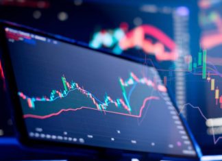 Planning and strategy financial portfolio and assets manager analyzing
