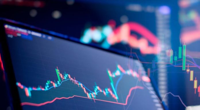 Planning and strategy financial portfolio and assets manager analyzing