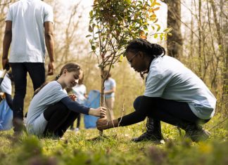 Two diverse activists working together to plant more trees and greenery in relation to social science and sociology