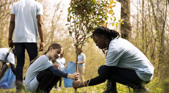 Two diverse activists working together to plant more trees and greenery in relation to social science and sociology