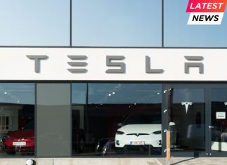 Elon Musk Scales Back Government Role to Refocus on Struggling Tesla Tesla car dealer