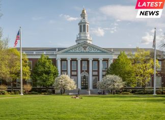 Harvard stock photo