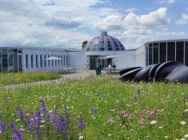Rethinking Leadership: Inside the IEMBA at the University of St.Gallen University of St.Gallen IEMBA
