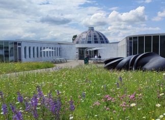 University of St.Gallen IEMBA