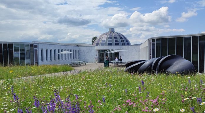 University of St.Gallen IEMBA