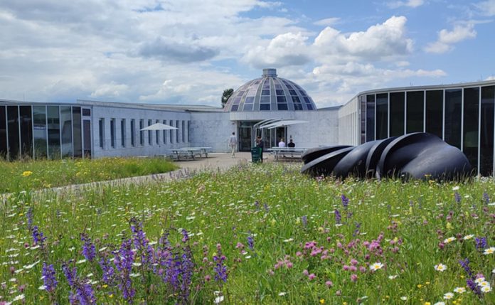 1747203530377 University of St.Gallen IEMBA