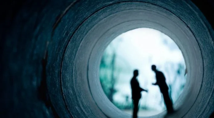 The Hidden Secrets of High-Performing Corporations