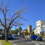 A beautiful winter tree in Penrith, is a suburb in New South Wales, Australia, located west of Sydney.