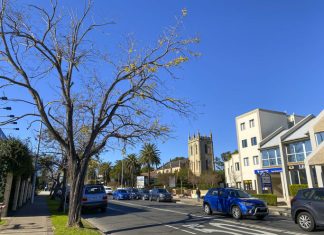 A Gateway to Nature, Culture, and Urban Living in Western Sydney Penrith A beautiful winter tree in Penrith, is a suburb in New South Wales, Australia, located west of Sydney.
