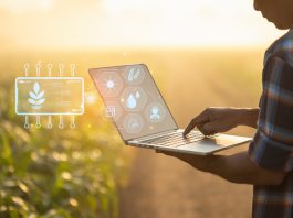 Farmer using digital tablet in corn crop cultivated field with smart farming interface icons and light flare sunset effect. Smart and new technology for agriculture business concept.