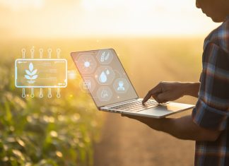 Climate Resilience in Farming: How Emerging Technologies Help Farmers Adapt Farmer using digital tablet in corn crop cultivated field with smart farming interface icons and light flare sunset effect. Smart and new technology for agriculture business concept.